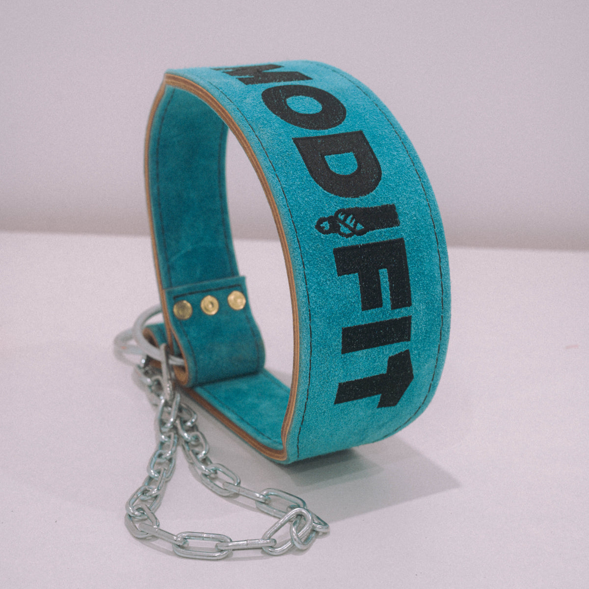 Clearance 06: Aqua Dipping Belt
