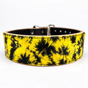 Pre-Order: Solar Weightlifting Belt