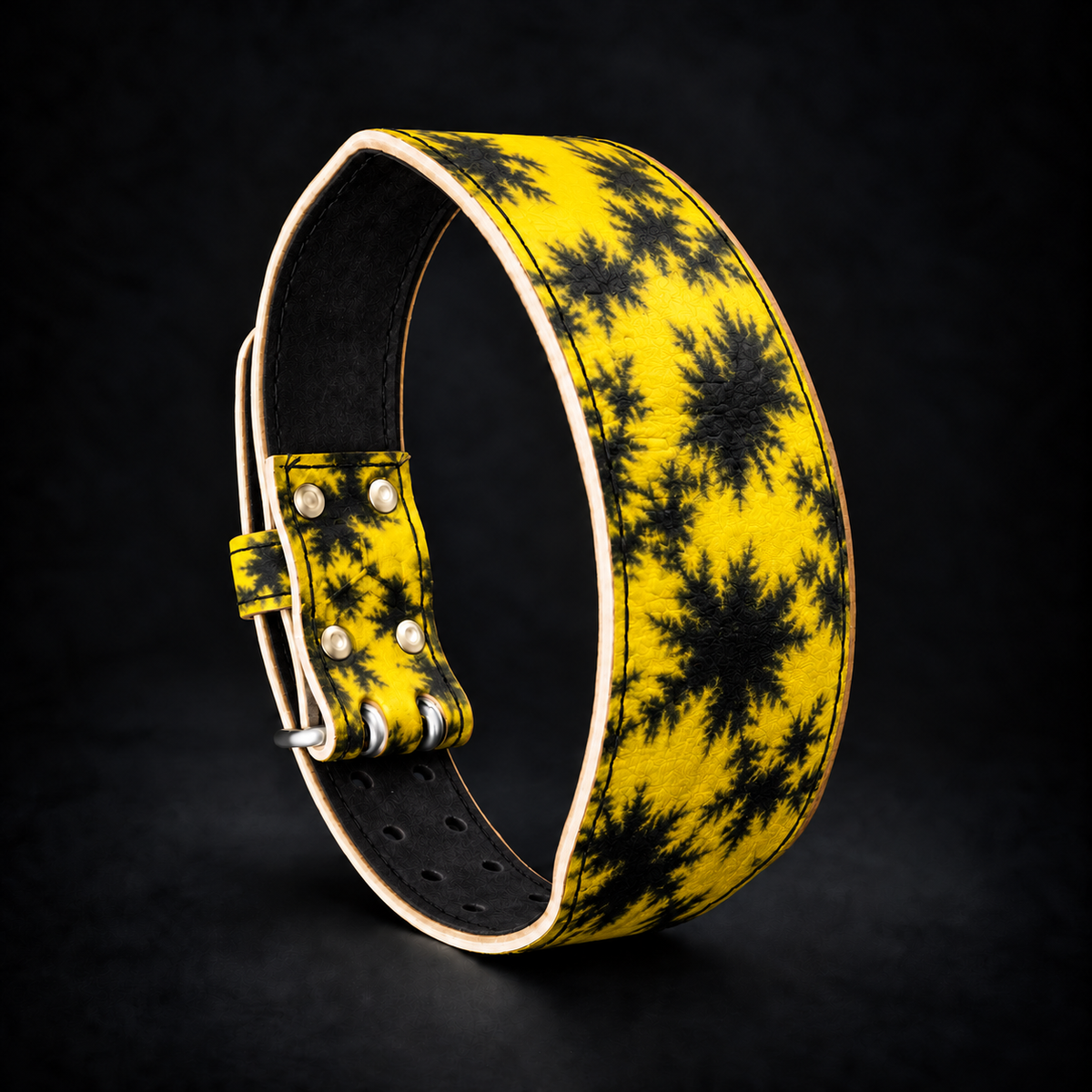 Solar Weightlifting Belt